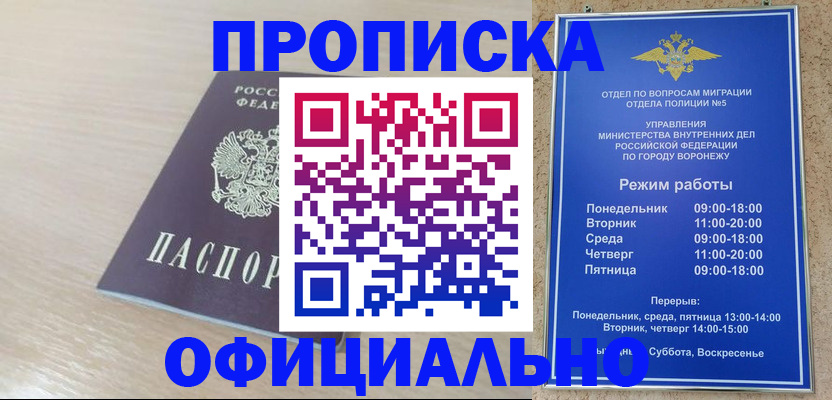 прописка в квартире в Никольском